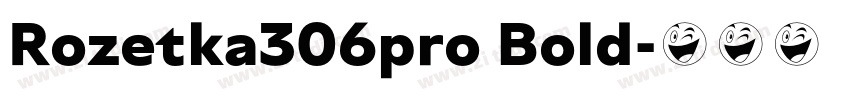 Rozetka306pro Bold字体转换